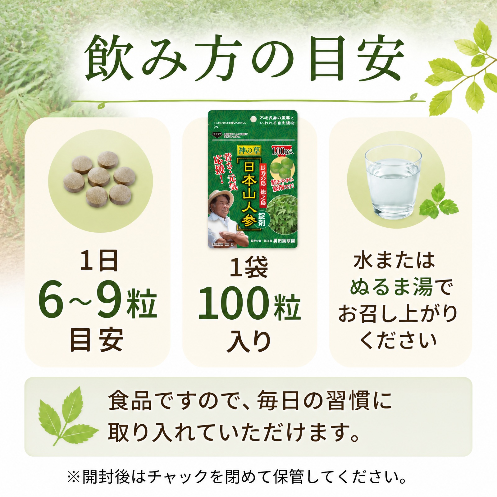 日本山人参 錠剤 5袋セット サプリ 1袋 100錠入り ヒュウガトウキ 健康