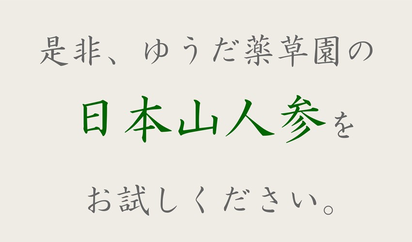 日本山人参 錠剤 10袋セット サプリ 1袋 100錠入り ヒュウガ