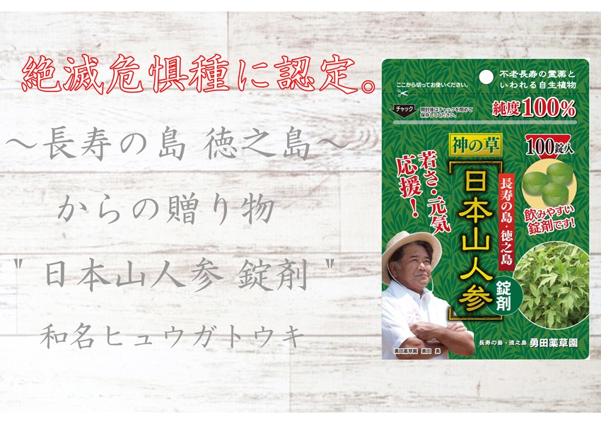 日本山人参 錠剤 5袋セット サプリ 1袋 100錠入り ヒュウガトウキ 健康 送料無料 勇田薬草園 日向当帰 効能 ダイエット 人気 効果  サプリメント お試し : 75 : 長命草と日本山人参・ゆうだ薬草園 - 通販 - Yahoo!ショッピング