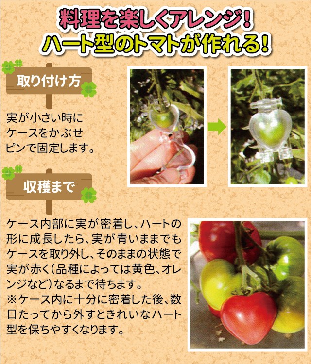 家庭菜園用 ハートのトマト ミニトマト向き 5個入 : 会津の米蔵