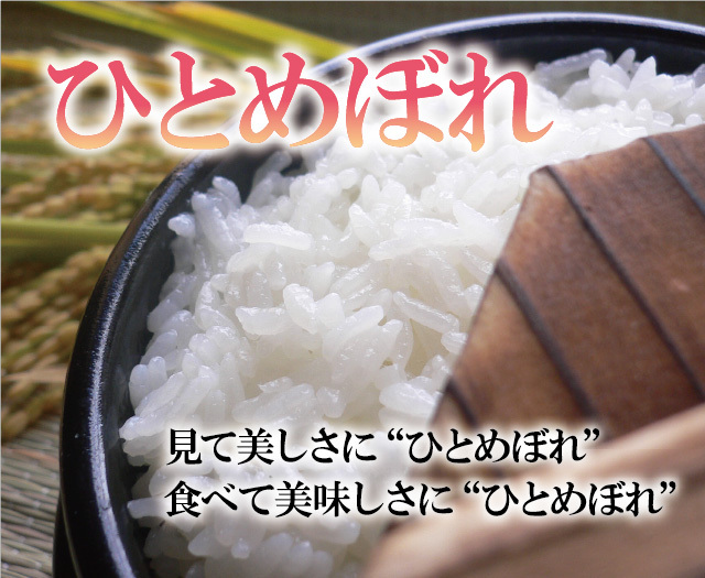ひとめぼれ 【お届け日指定不可】ひとめぼれ 精米 10kg（5kg×2