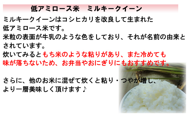 ミルキークイーン 新米 令和7年 会津産 精米 10kg（5kg×2）お米 ※九州