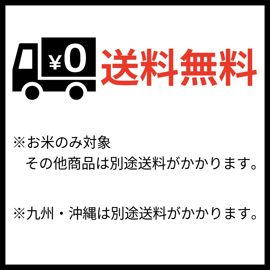 【7送料無料】