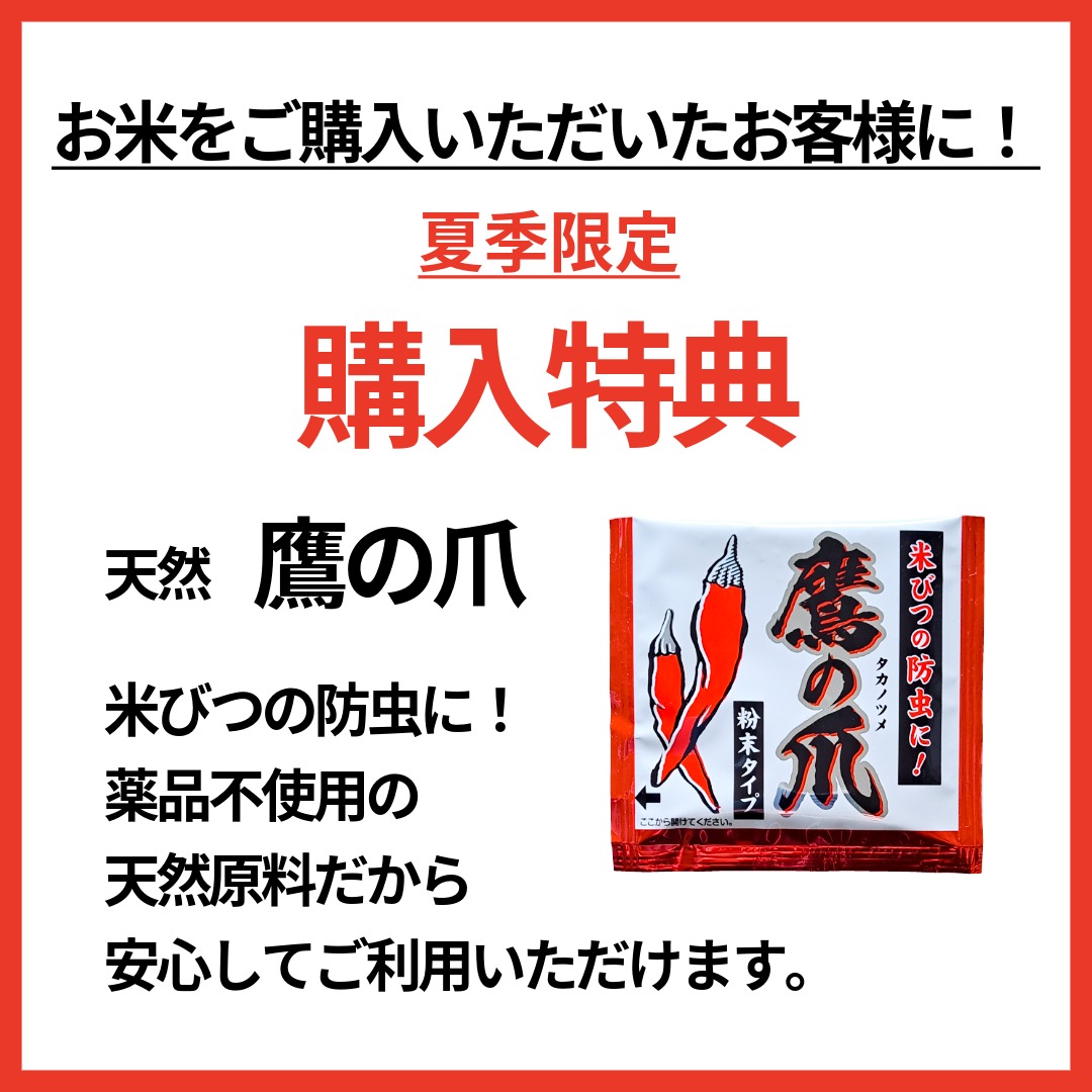 【9購入特典】
