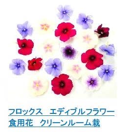 フロックス