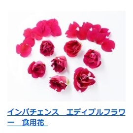 インパチェンス