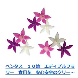 ペンタス