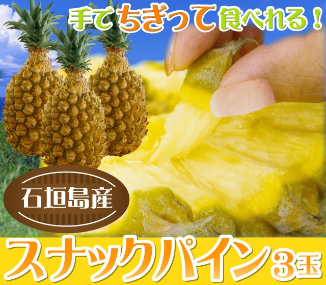 スナックパイン 石垣島産
