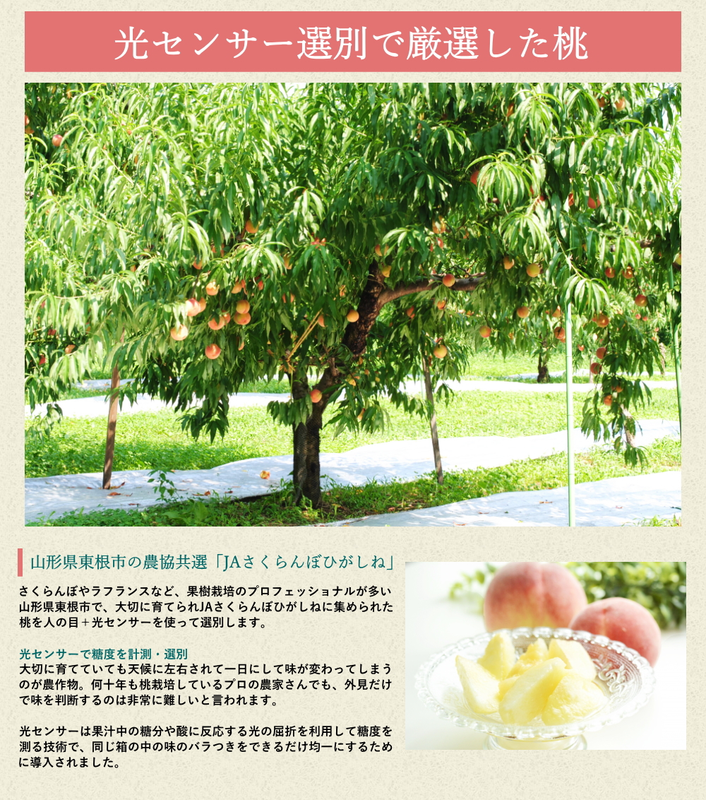 桃　山梨直送（4.5-5kg箱込） 品種おまかせ 楽天市場】桃 もも 訳あり【6月16日から発送：山梨県 笛吹市