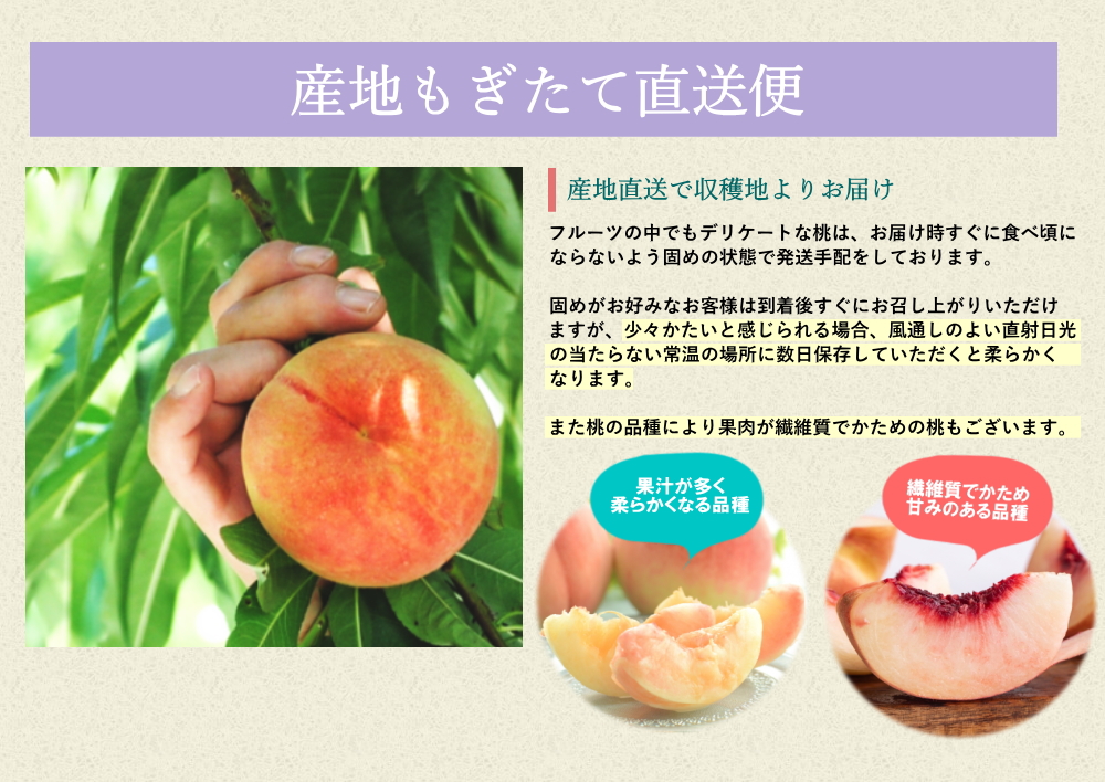白桃 約5kg箱 13-20玉前後 化粧箱 もも 桃 モモ サイズ＆玉数