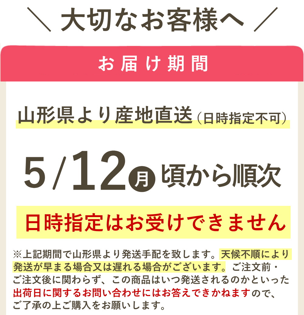 遅れてゴメン母の日ギフト順次発送】さくらんぼ 山形県産 佐藤錦