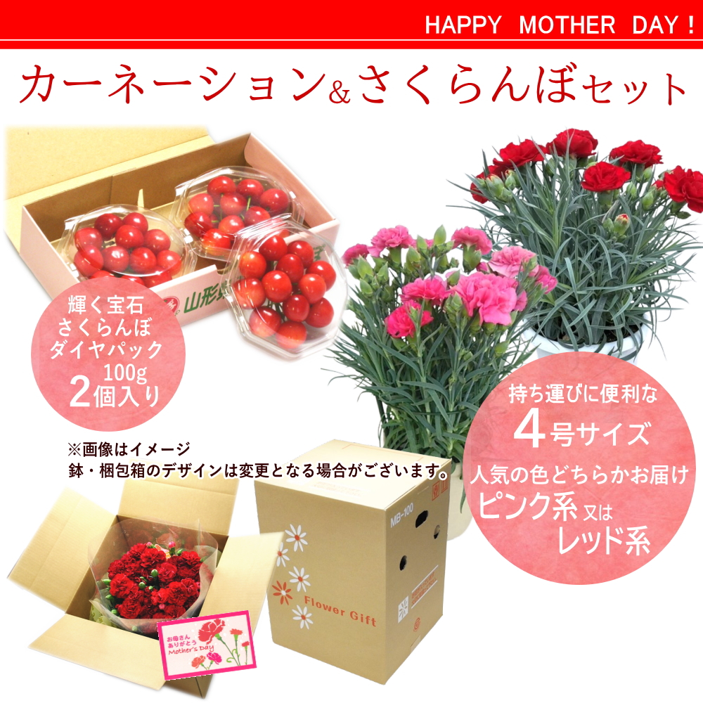 佐藤(翌日発送) 楽天市場】【ママ割でポイント2倍】＼期間限定15％OFF