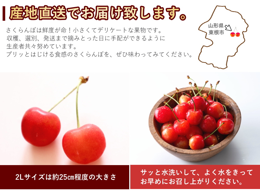 Amazon.co.jp: オーストラリア・チリ産チェリー空輸 大粒 9.5
