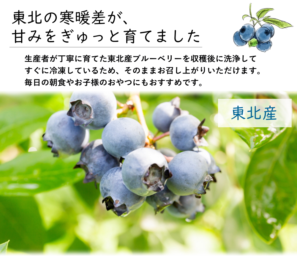 冷凍ブルーベリー 約3kg ブルーベリー フルーツ ベリー 1kg×3袋入り