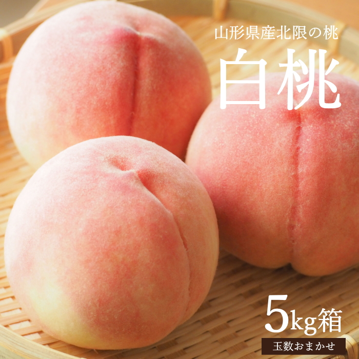 白桃 約5kg箱 13-20玉前後 化粧箱 もも 桃 モモ サイズ＆玉数おまかせ