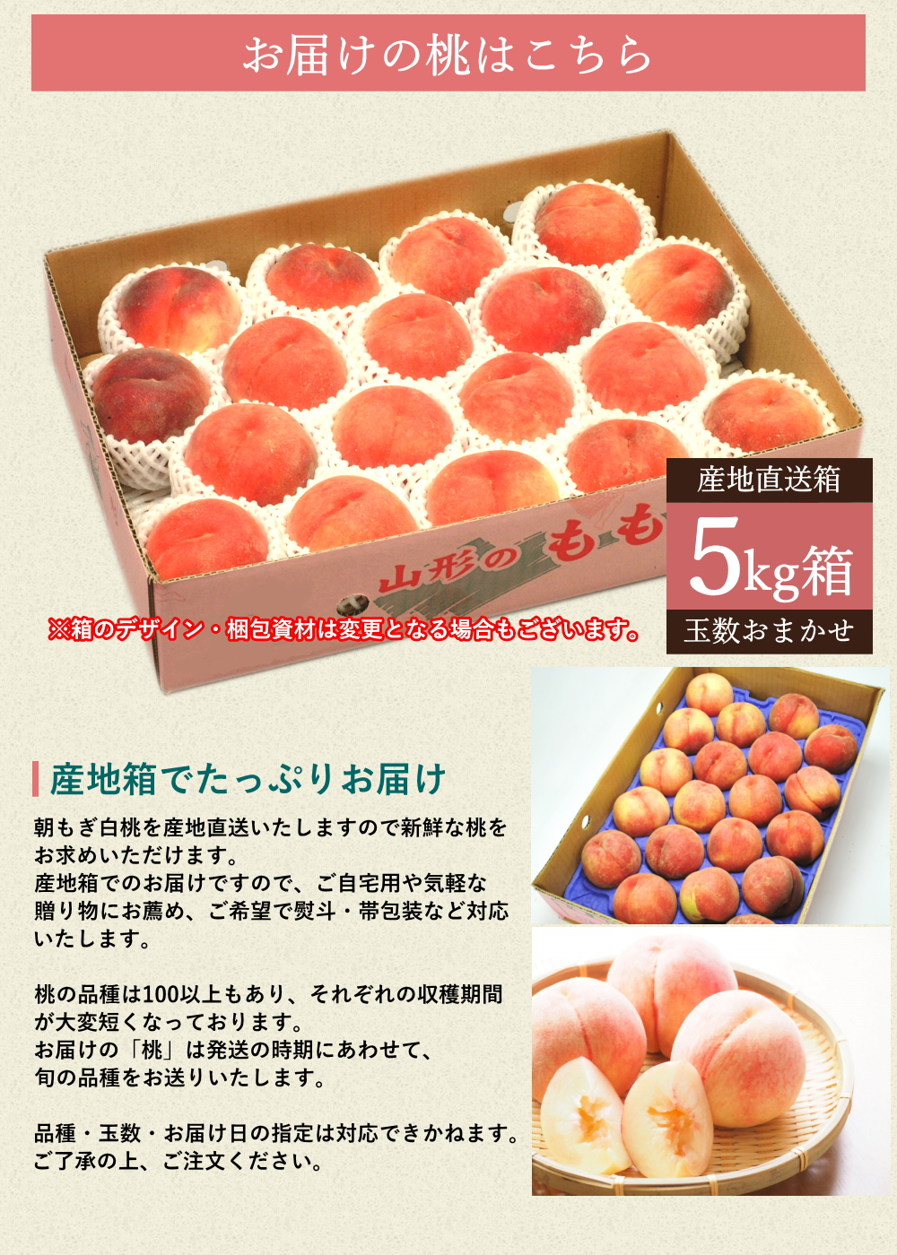 白桃 約5kg箱 13-20玉前後 化粧箱 もも 桃 モモ サイズ＆玉数おまかせ