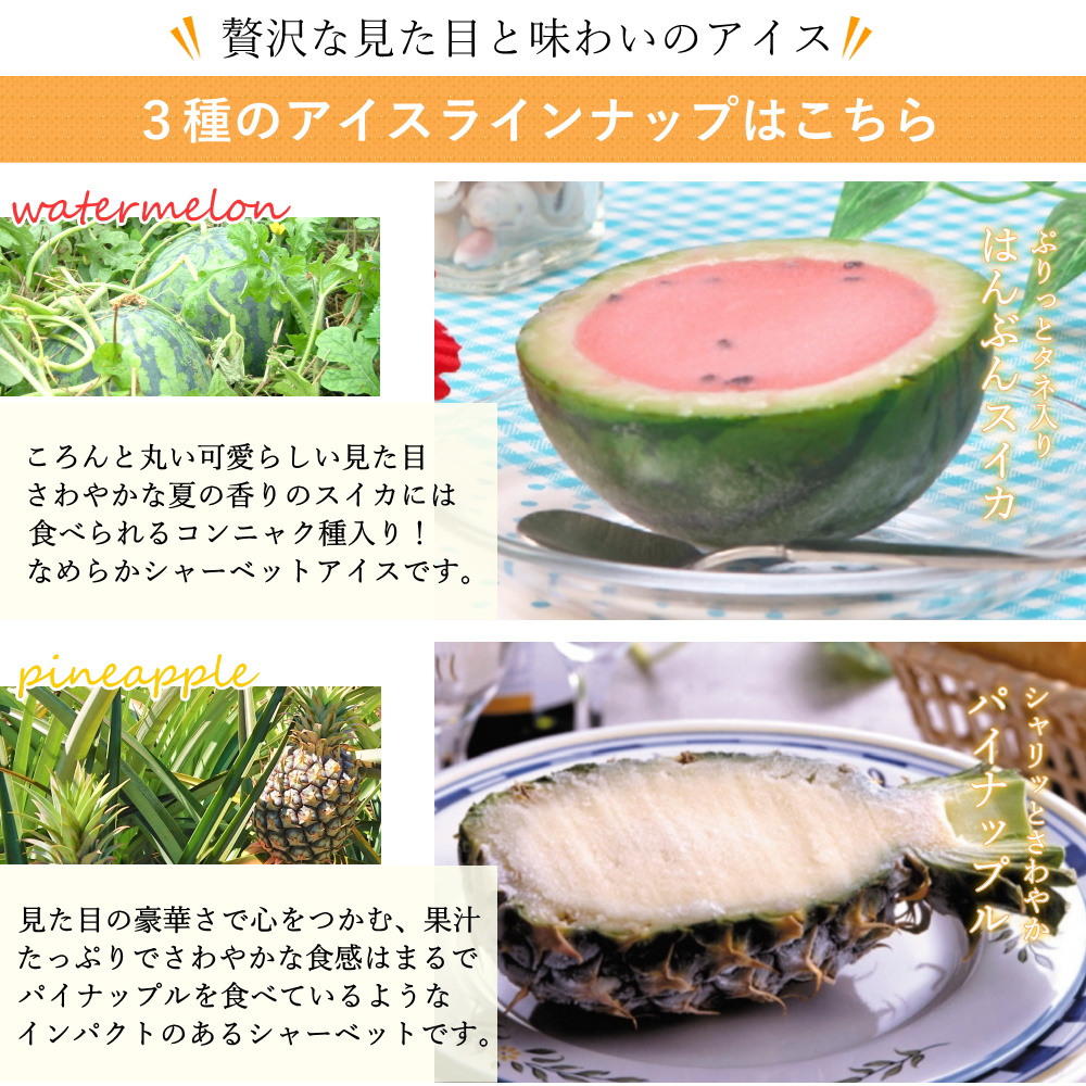 ラインナップ