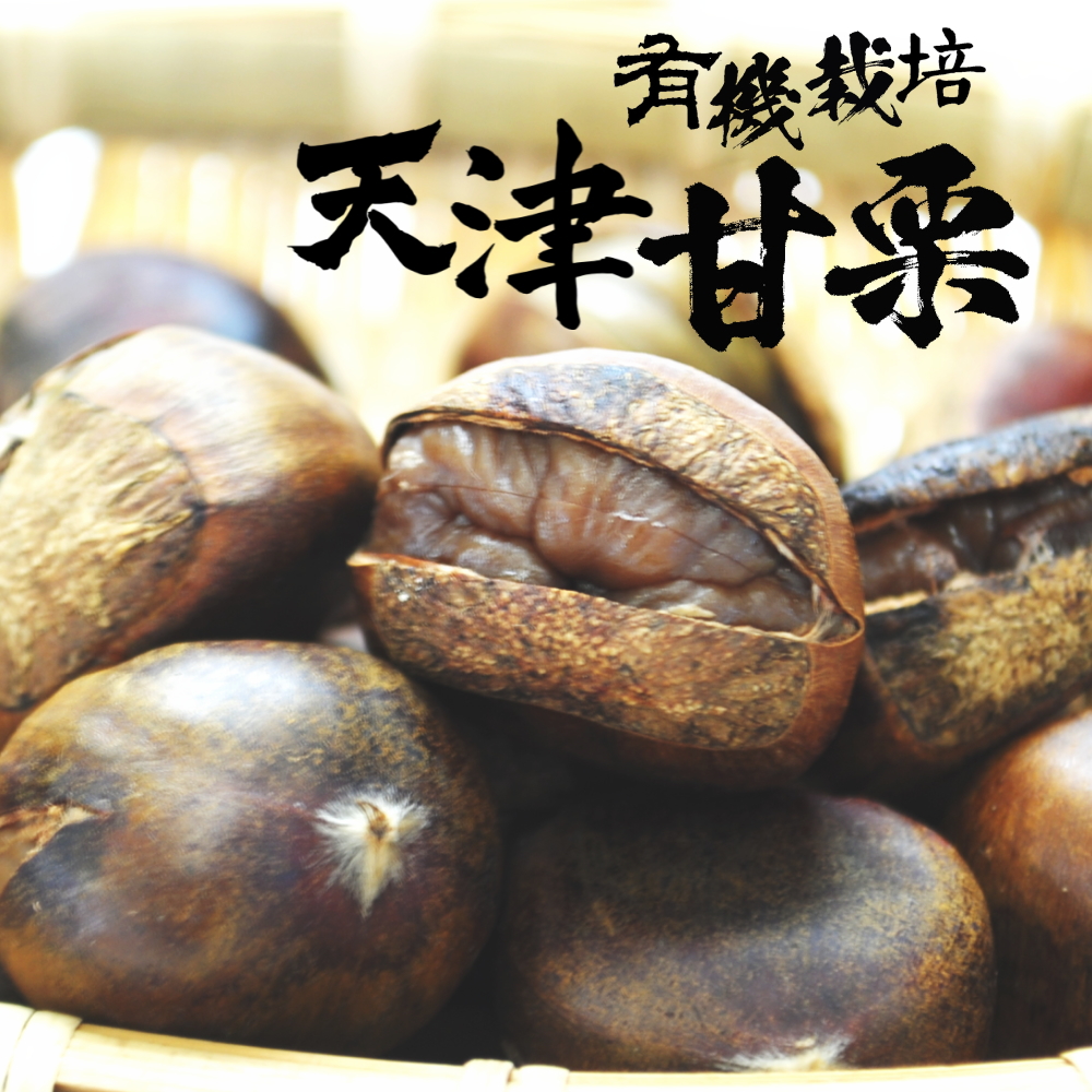 天津甘栗 260g 10袋セット 【宅配便】有機栽培 殻付き 割れ目 天津甘栗 260g 10袋セット 【宅配便】有機栽培 殻付き 割れ目