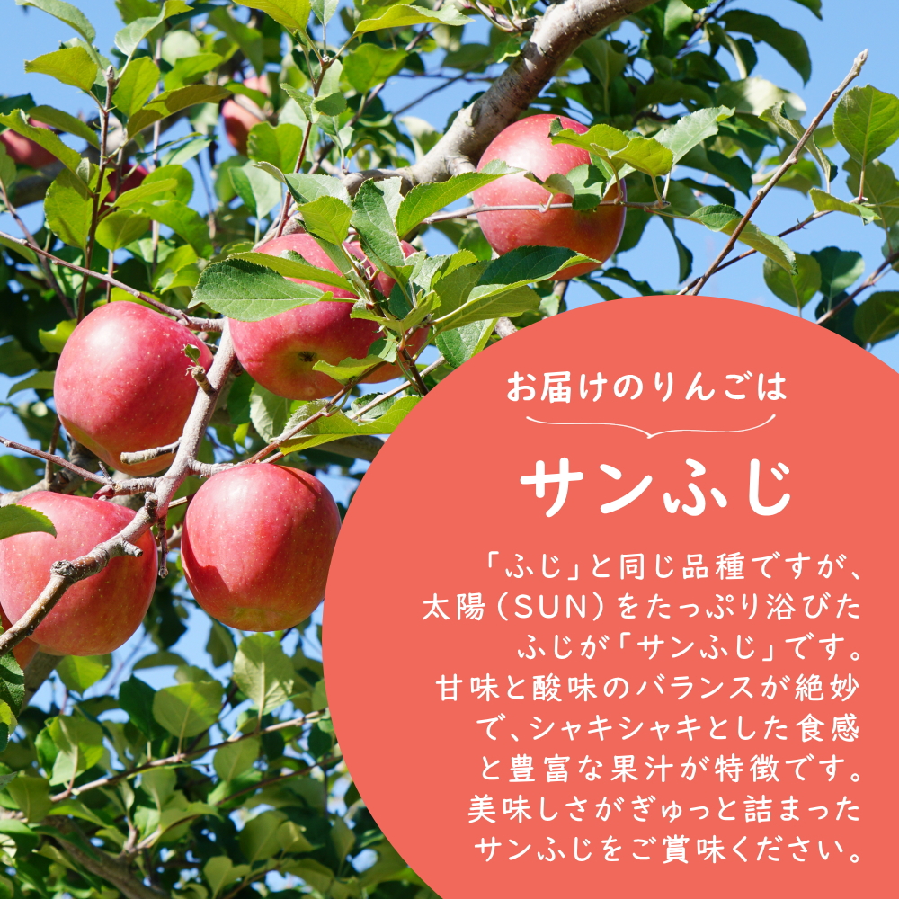 訳あり サンふじ 約10kg前後 バラ詰め ご家庭用※玉数未定