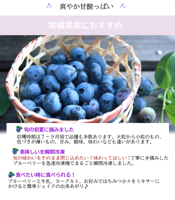 ブルーベリー