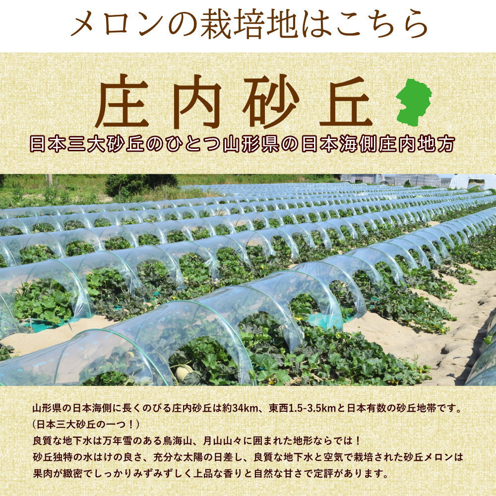 メロンの栽培地