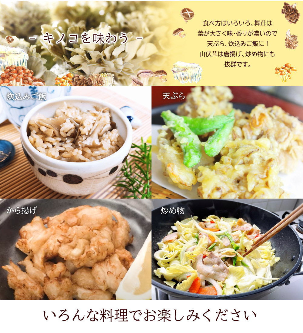 きのこ3種類セット 舞茸 黒 とび色舞茸 山伏茸 とびいろ まいたけ やまぶしいたけ 合計約1 3g マイタケ 山形県産 最上まいたけ Kinoco P10 やまがた特産屋 通販 Yahoo ショッピング きのこ3種類セット 舞茸 黒 とび色舞茸 山伏茸 とびいろ まいたけ やまぶしいたけ 合計約1 3g マイタケ 山形県産 最上まいたけ Kinoco P10 やまがた特産屋 通販 Yahoo ショッピング