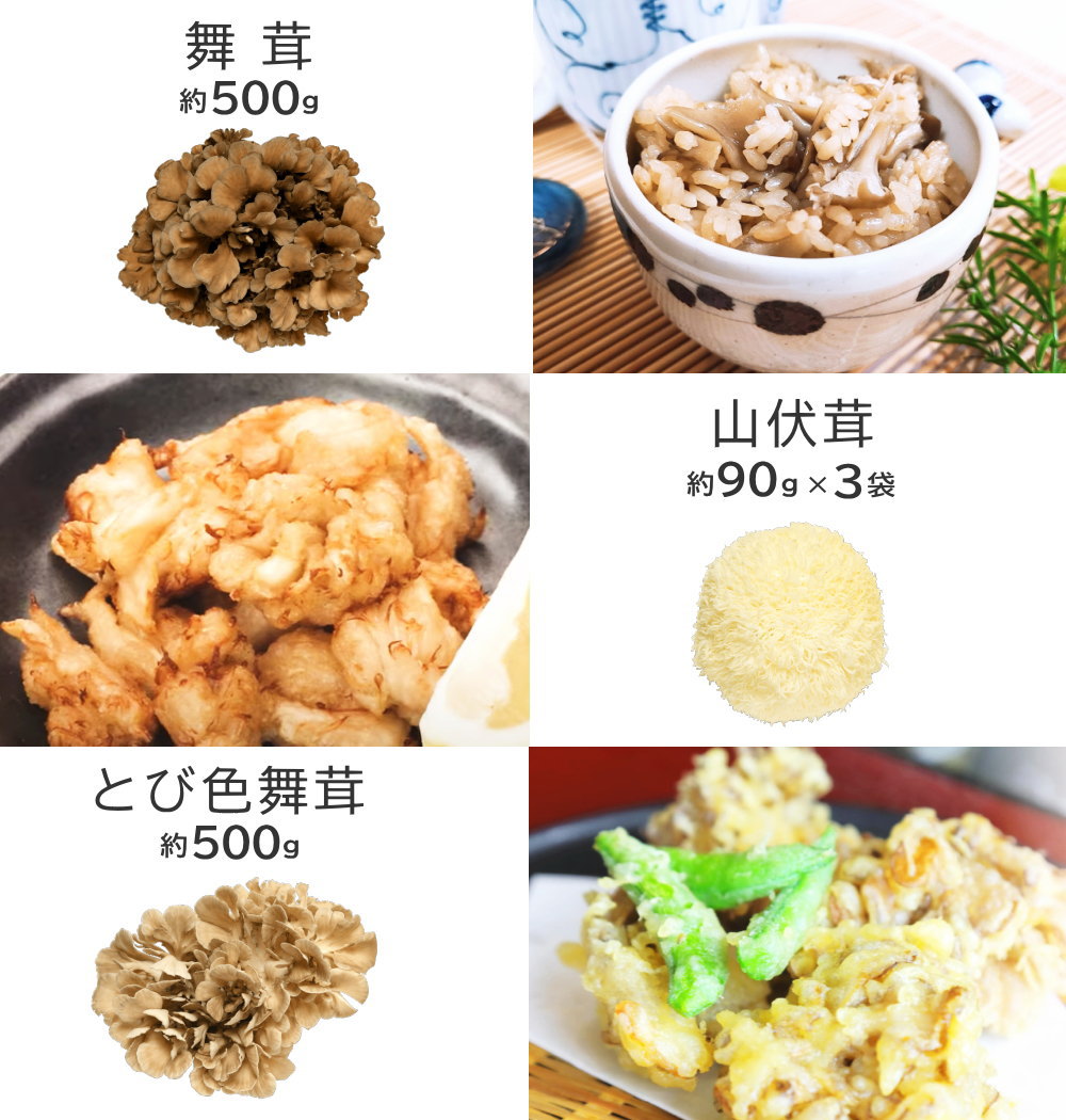 きのこ3種類セット 舞茸 黒 とび色舞茸 山伏茸 とびいろ まいたけ やまぶしいたけ 合計約1 3g マイタケ 山形県産 最上まいたけ Kinoco P10 やまがた特産屋 通販 Yahoo ショッピング きのこ3種類セット 舞茸 黒 とび色舞茸 山伏茸 とびいろ まいたけ やまぶしいたけ 合計約1 3g マイタケ 山形県産 最上まいたけ Kinoco P10 やまがた特産屋 通販 Yahoo ショッピング