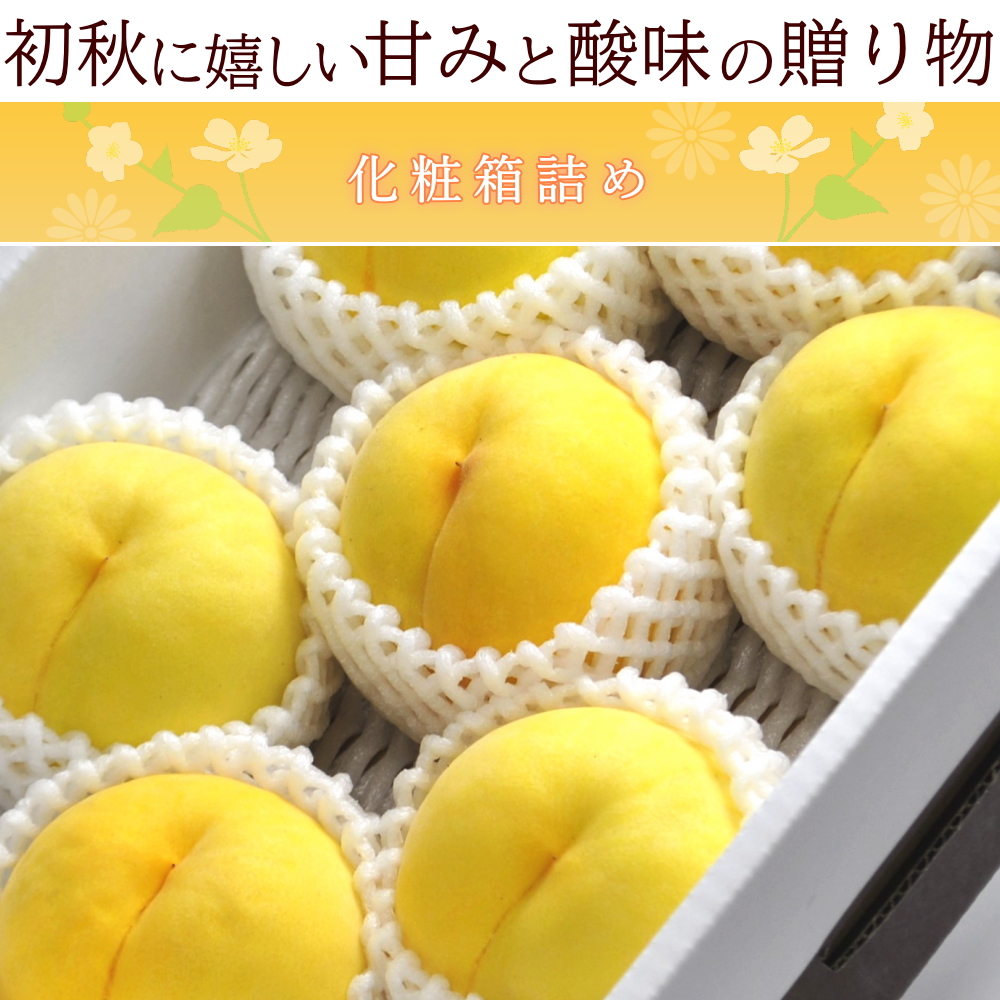 モモ　5キロ ×２箱　① 楽天市場】モモ もも ピーチ 黄桃 フルーツ 桃 黄金桃 5kg前後