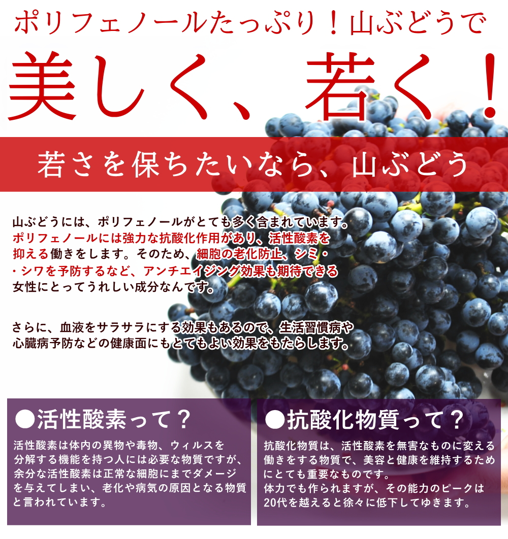 国産 ぶどう 山ぶどう 4kg 業務箱 家庭用 葡萄 ブドウ 産直 山形県旧朝日村産 送料無料 山形産 産直 取寄せ※沖縄県・一部離島への配送不可 :  fs0177 : やまがた特産屋 - 通販 - Yahoo!ショッピング