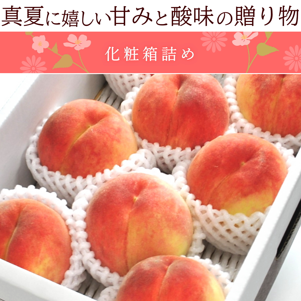 もも 桃 モモ 白桃 約2kg箱 5-10玉前後 化粧箱 小玉サイズ