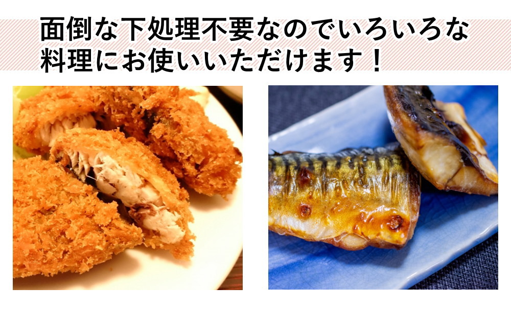 骨取り 国産 サバ 切り身 480g 10-12枚前後 送料無料 鯖 さば 骨抜き 骨取り魚 焼き魚 フライ 味噌煮 :kn0161:やまがた特産屋  - 通販 - Yahoo!ショッピング