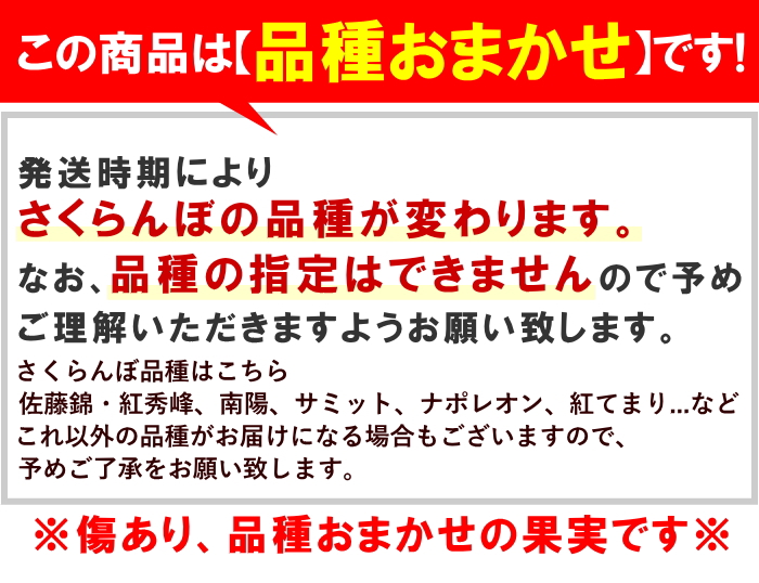 さくらんぼ 佐藤錦 紅秀峰 など 品種おまかせ 山形県産 訳あり 約1kg