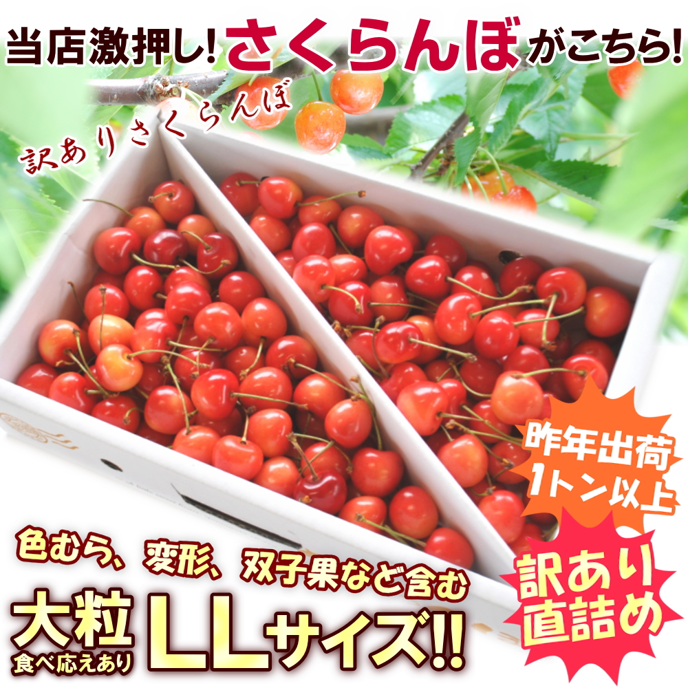 さくらんぼ 佐藤錦 紅秀峰 など 品種おまかせ 山形県産 訳あり