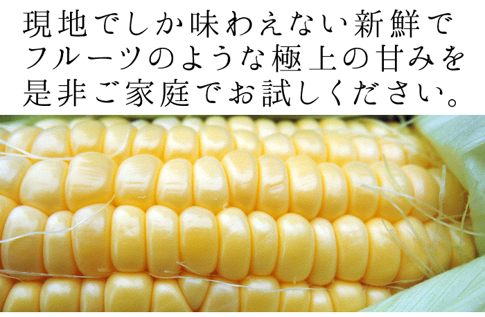 予約販売 嶽きみ 青森県が誇るプレミアム とうもろこし 24本セット まるで果物のような甘さ トウモロコシ コーン 同梱不可 / 沖縄県・一部離島配送不可  : yh0056 : やまがた特産屋 - 通販 - Yahoo!ショッピング