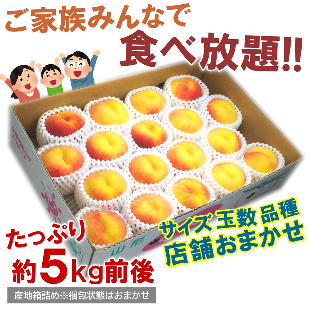 新鮮 ヤマモモ 中粒(5キロ) 新鮮 ヤマモモ 中粒(5キロ) 幻の果実「やまもも」 | こだわり
