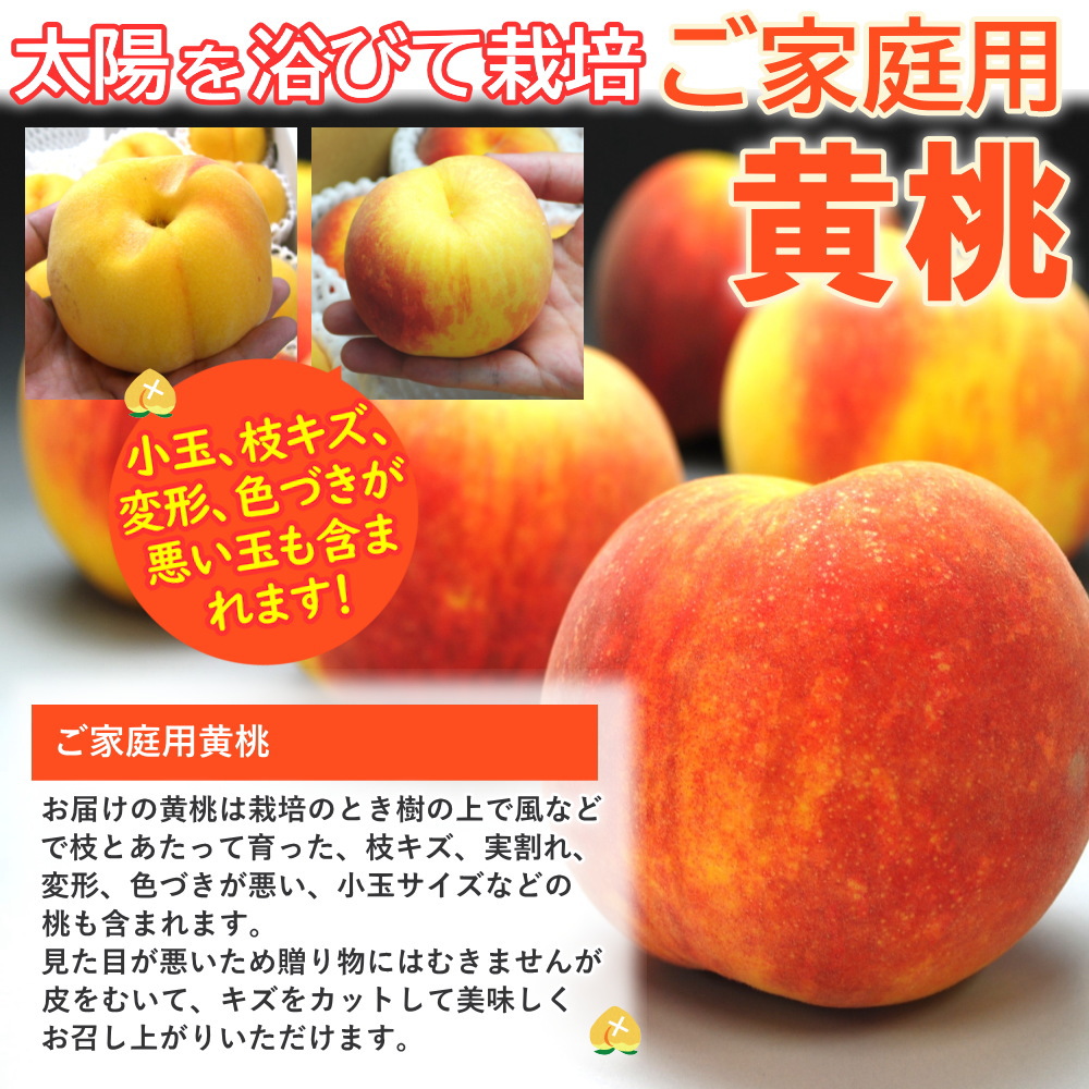 新鮮 ヤマモモ 中粒(5キロ) 新鮮 ヤマモモ 中粒(5キロ) 幻の果実「やまもも」 | こだわり