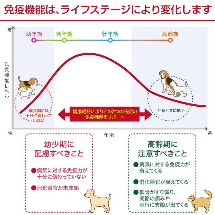 猫サプリ