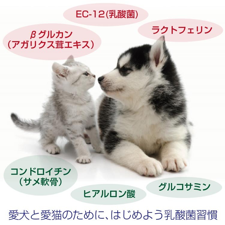 犬サプリ