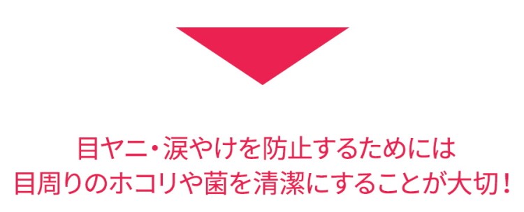 アイクリーン　送料無料