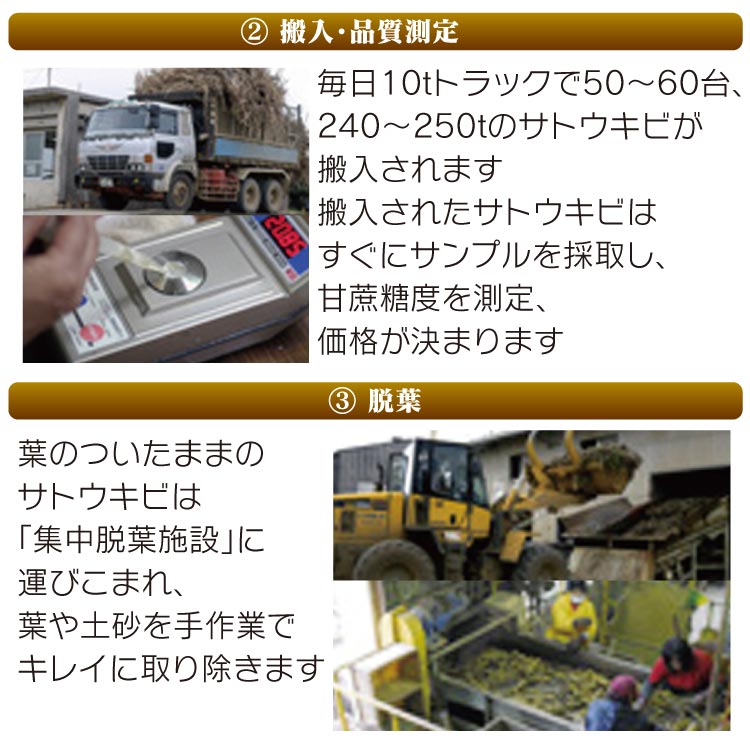 沖縄黒糖 多良間島産 黒糖 ブロックタイプ 粉末タイプ 2袋セット