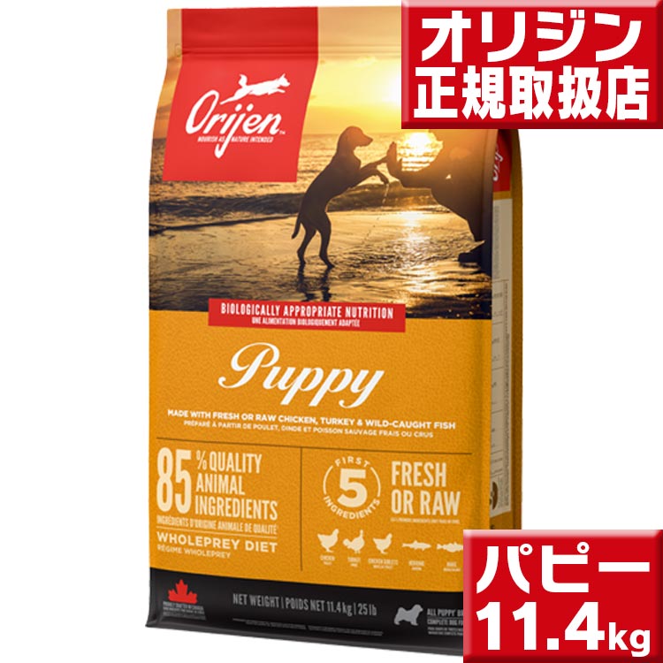 オリジン パピー 11.4kg
