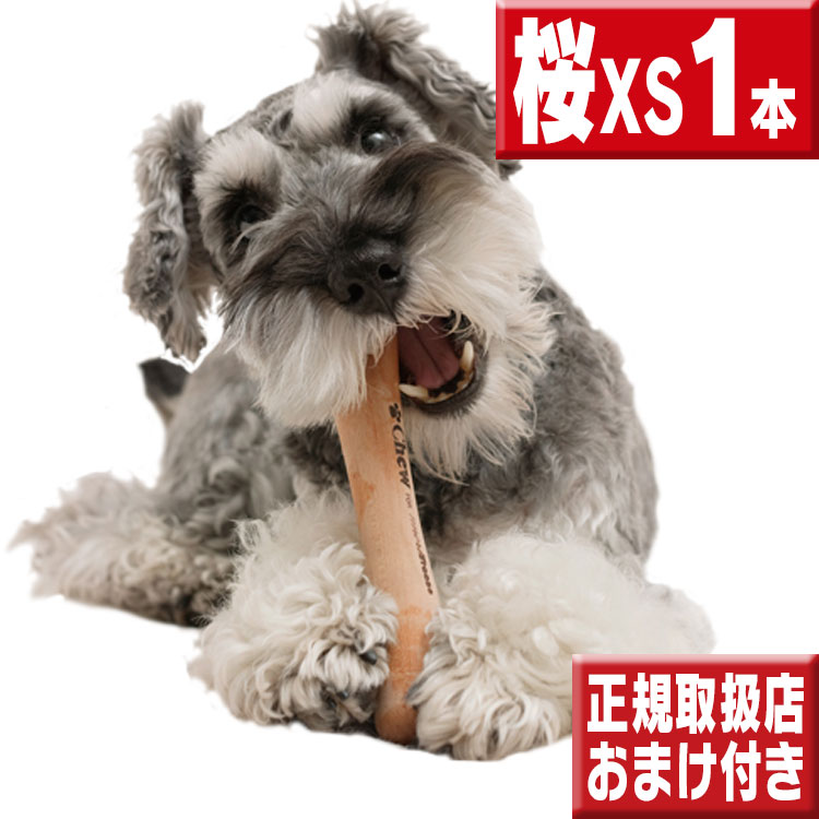 chew 桜 ＸＳ １本 犬 おもちゃ 噛む 骨型 | たかくら新産業