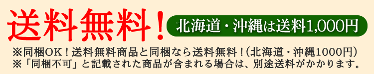 送料無料(北海道・沖縄は1000円)