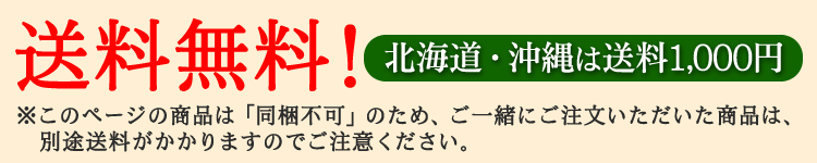 送料無料(北海道・沖縄は1000円)同梱不可