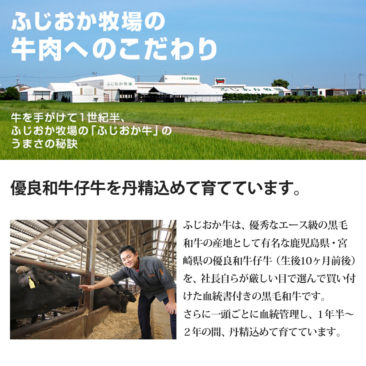 ふじおか牧場の阿波牛＆徳島県産黒毛和牛肉