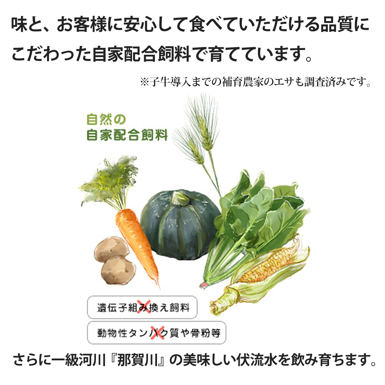 ふじおか牧場の阿波牛＆徳島県産黒毛和牛肉