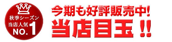 今年も好評販売中