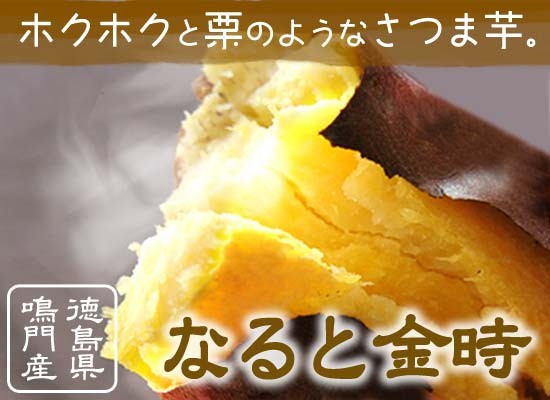 今季販売終了】さつまいも なると金時 5kg 秀品 箱入 徳島県鳴門市大津