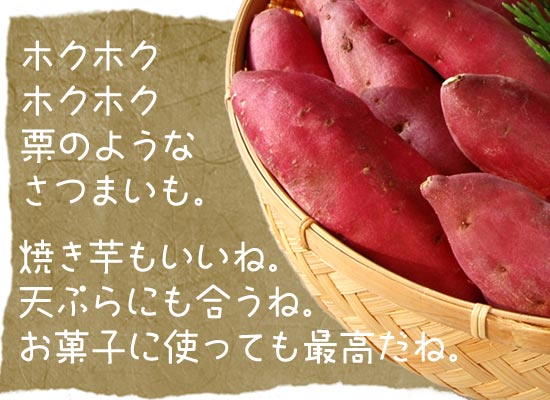 焼き芋・天ぷら・お菓子作りに鳴門金時