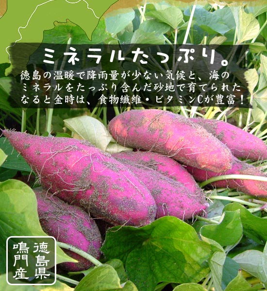なると金時　B級品　10キロ　サツマイモ 　徳島県産　さつまいも　鳴門金時 鳴門金時 徳島県産 なると金時 金時芋 さつまいも 2㎏ 新物 送料